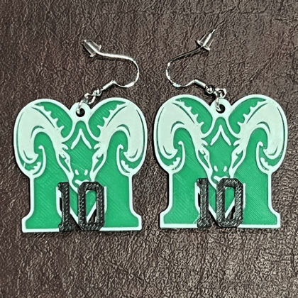 Mayde Creek HS Earrings with Player Number