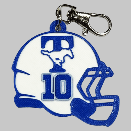 Taylor Football Personalized Backpack/Keyring Tag