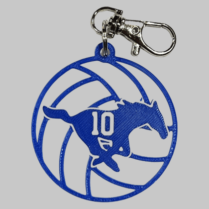 Taylor Volleyball Personalized Backpack/Keyring Tag