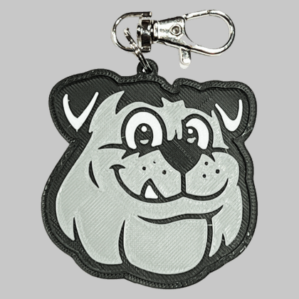 Robertson Elementary Logo Backpack/Keyring Tag